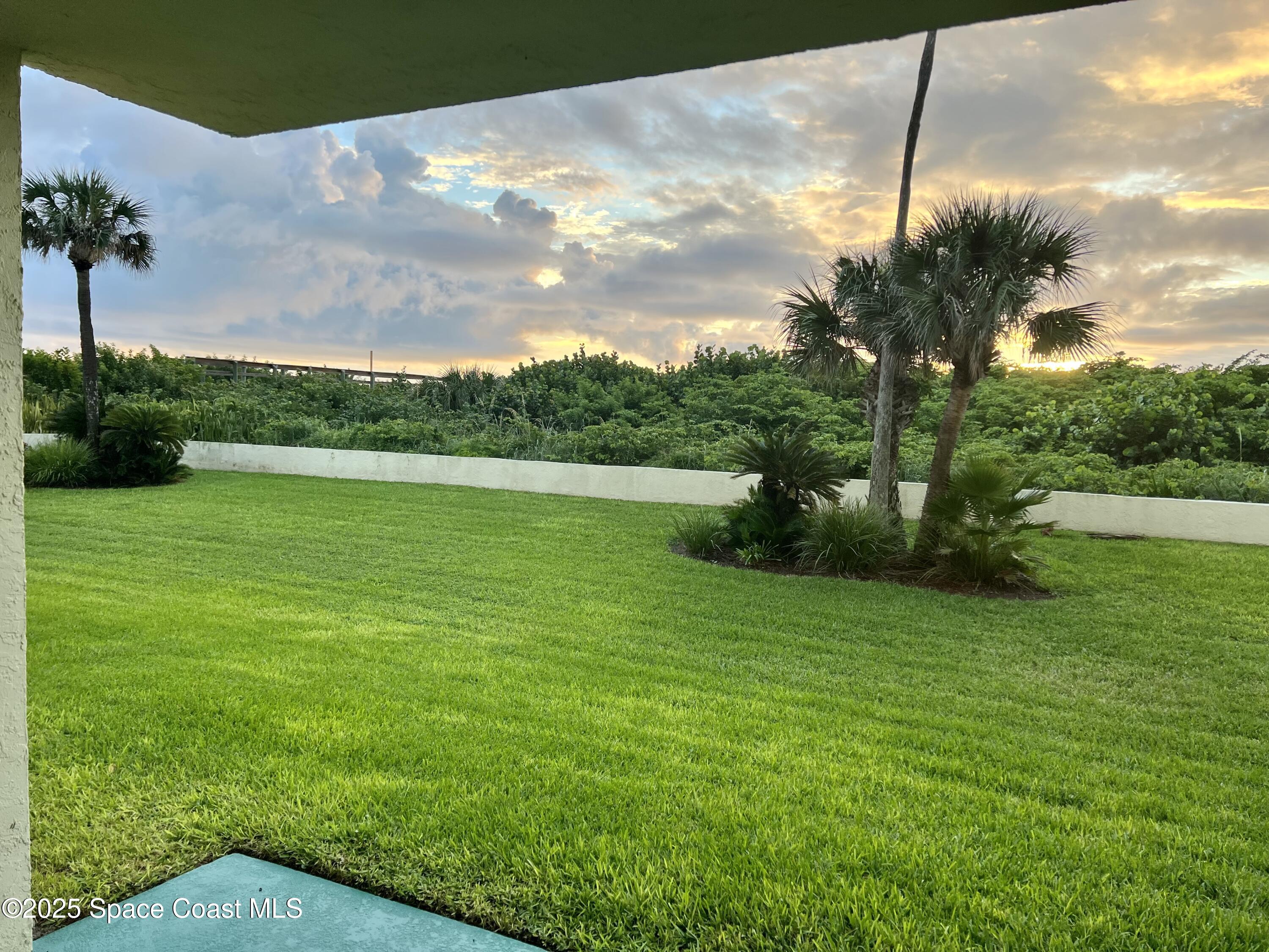 4570 Ocean Beach Boulevard, Unit 104 Cocoa Beach, FL 32931 - Photo 15 of 18 a view of a big yard with a palm tree