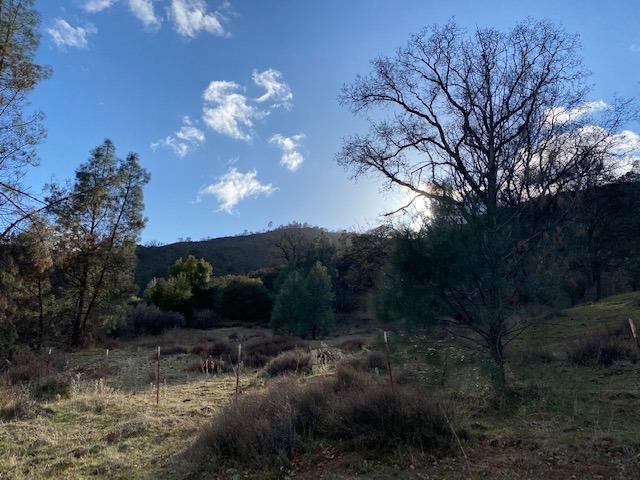 48001 North Fork Road Coalinga, CA 93210 - Photo 16 of 46 Gallery Image 16