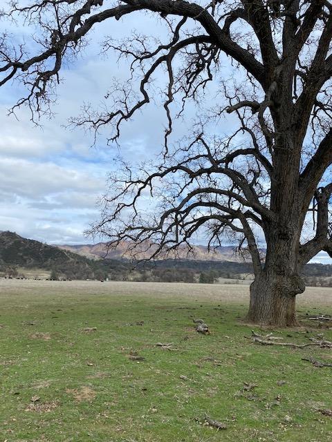 48001 North Fork Road Coalinga, CA 93210 - Photo 30 of 46 Gallery Image 30