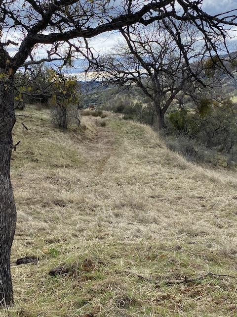 48001 North Fork Road Coalinga, CA 93210 - Photo 38 of 46 Gallery Image 38