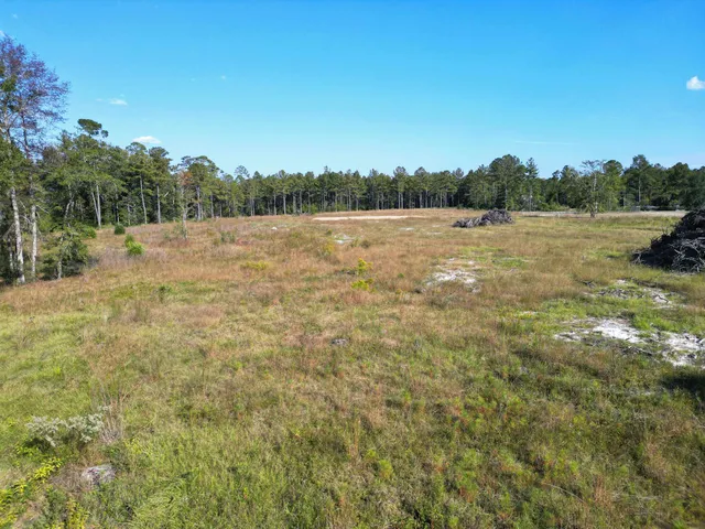 $126,000 | 17752 Arnold Kelly Road, Hosford, FL 32334