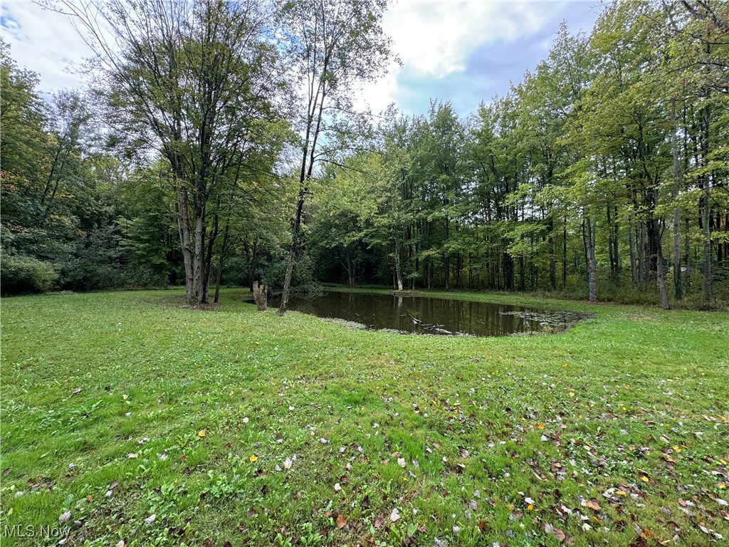 2204 Sheffield Road Ashtabula, OH 44004 - Photo 10 of 48