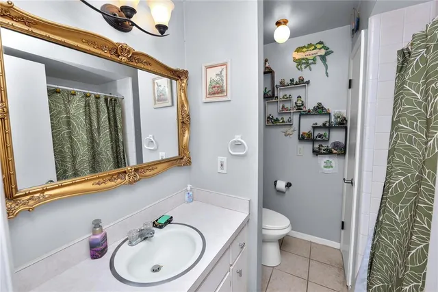 a bathroom with a toilet a sink and a shower curtain