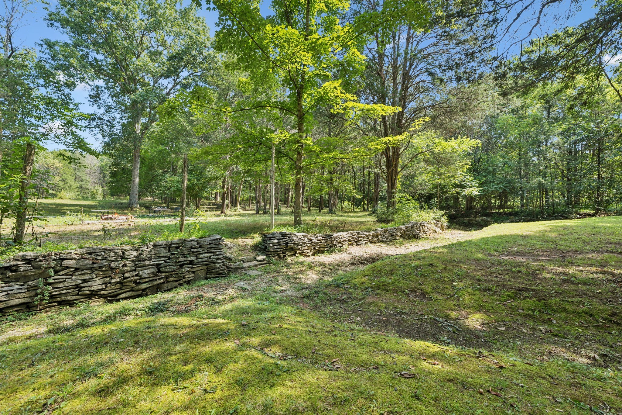 1030 Waller Road Brentwood, TN 37027 - Photo 17 of 90 a view of a park that has large trees