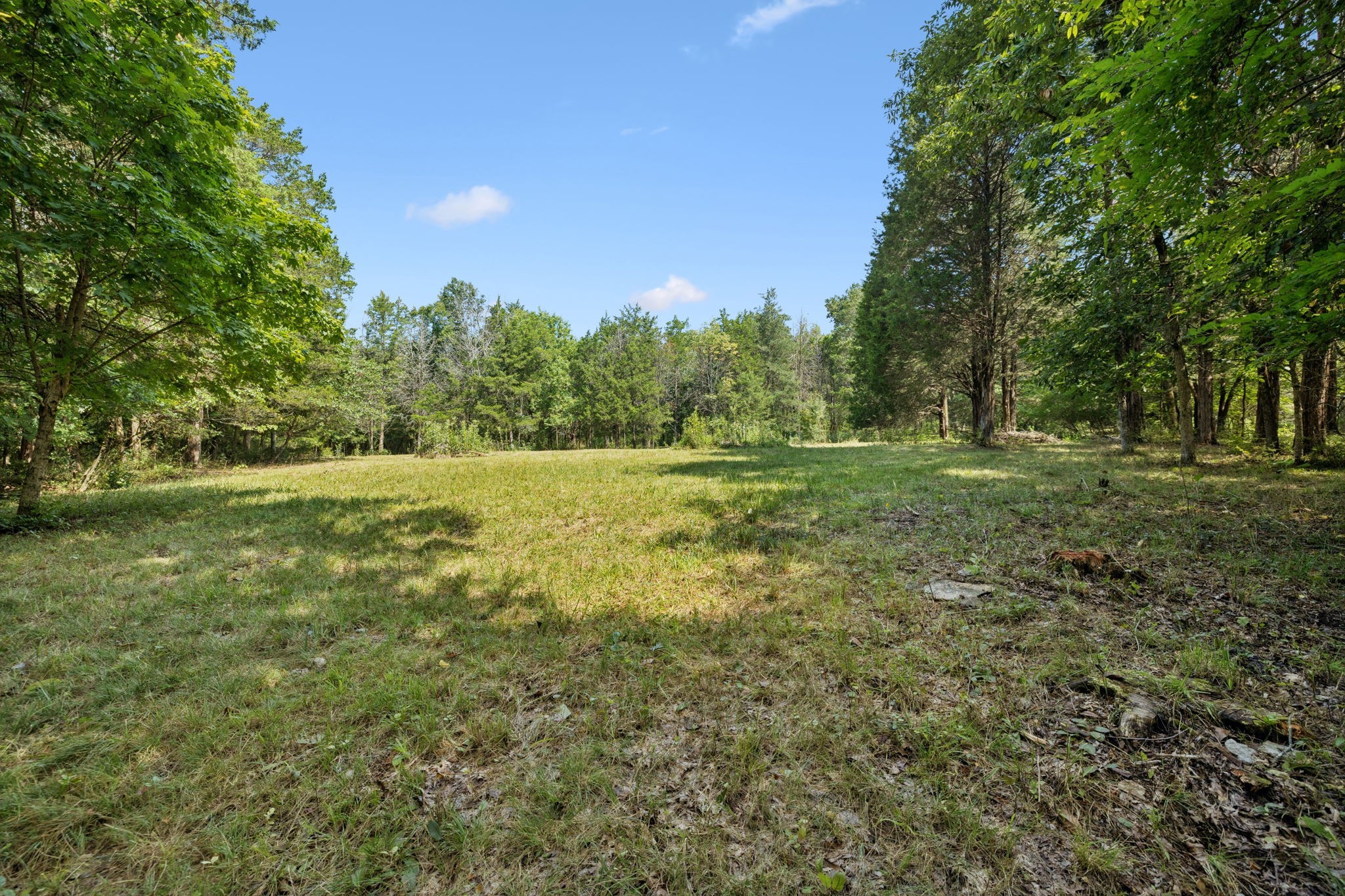 1030 Waller Road Brentwood, TN 37027 - Photo 22 of 90