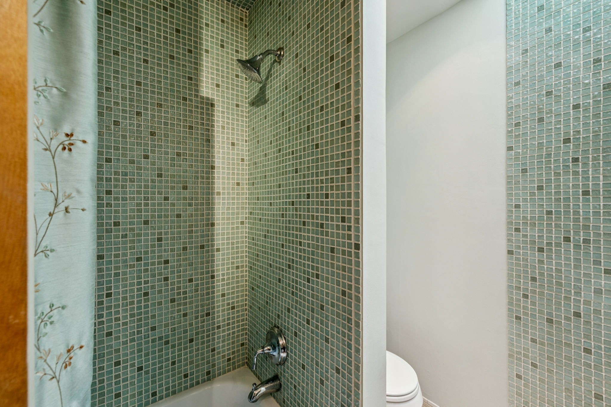 1030 Waller Road Brentwood, TN 37027 - Photo 45 of 90 a bathroom with a toilet and a shower curtain