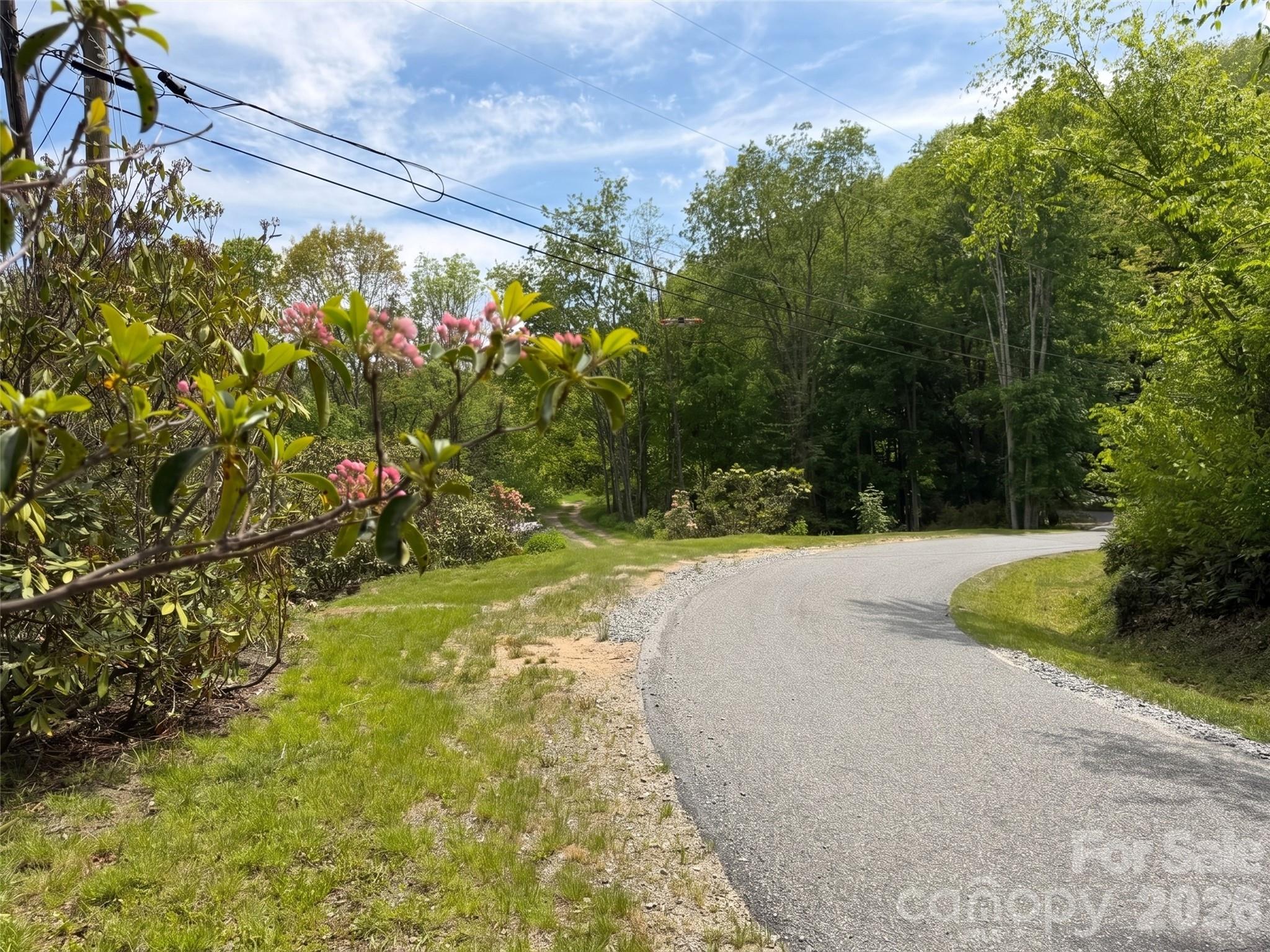 0 Leatherwood Road Maggie Valley, NC 28751 - Photo 6 of 15