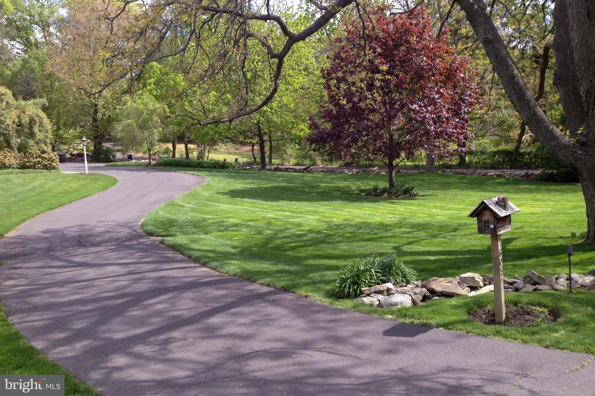1605 Amity Road Rydal, PA 19046 - Photo 3 of 35 Driveway