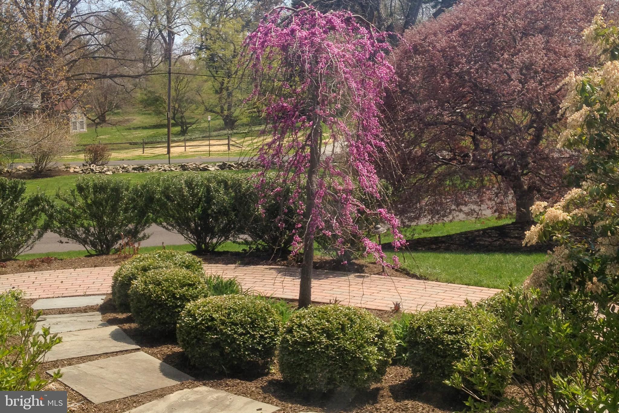 1605 Amity Road Rydal, PA 19046 - Photo 4 of 35 Exterior Front
