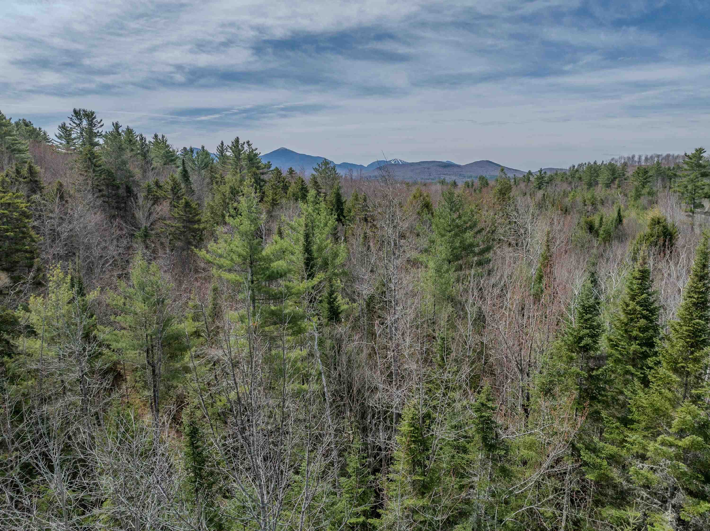 0 Gould Road Whitefield, NH 03598 - Photo 17 of 29 Gallery Image 17