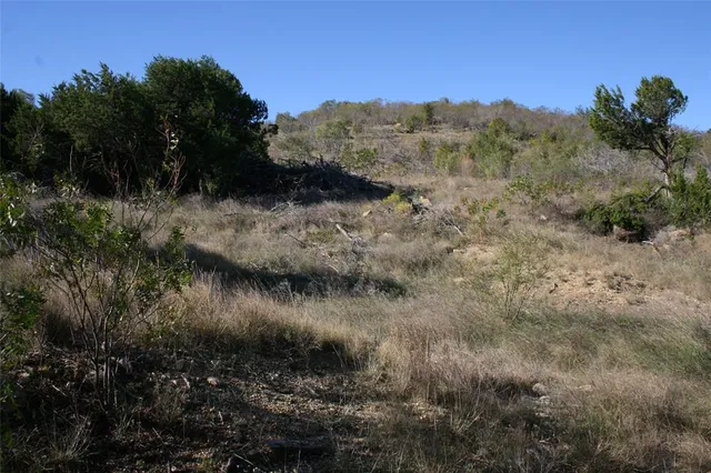 a view of a lake with a mountain in the background