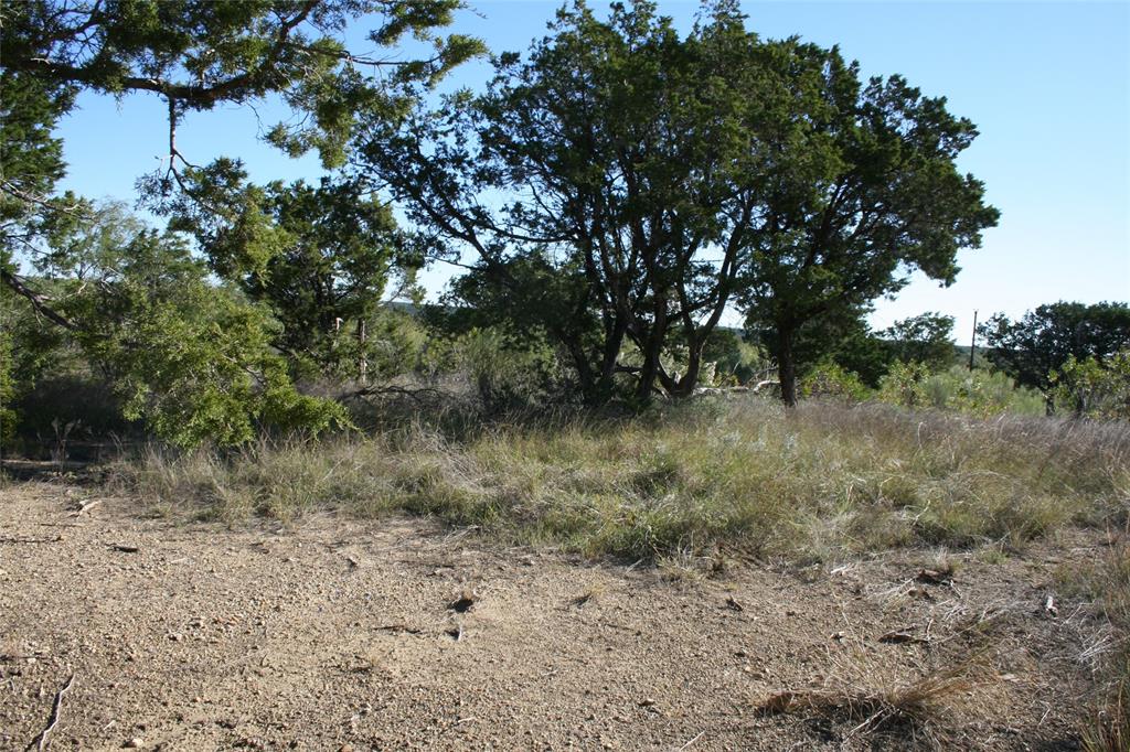 0 Upper Brad Road Strawn, TX 76475 - Photo 12 of 26 a view of a lake with lots of trees