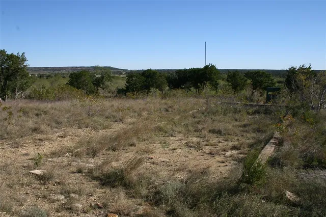 a view of a field of grass and trees