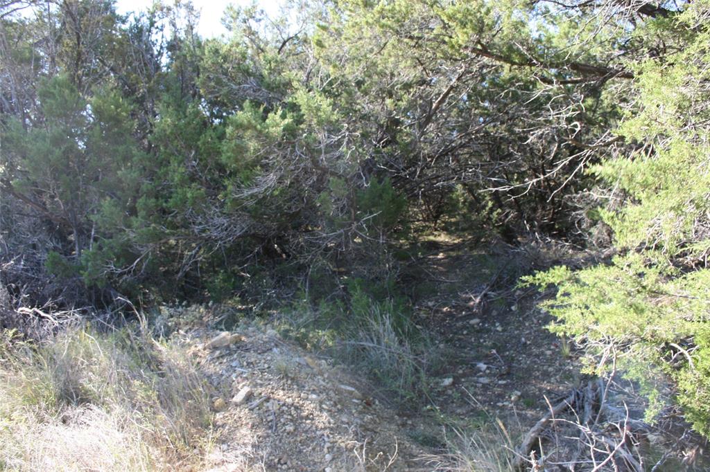 0 Upper Brad Road Strawn, TX 76475 - Photo 15 of 26 a view of a forest with trees in the background