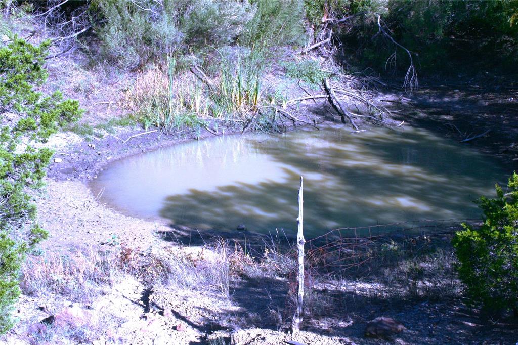 0 Upper Brad Road Strawn, TX 76475 - Photo 17 of 26 a view of a backyard of a house