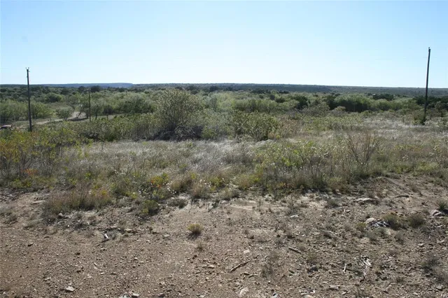a view of a field of grass and trees