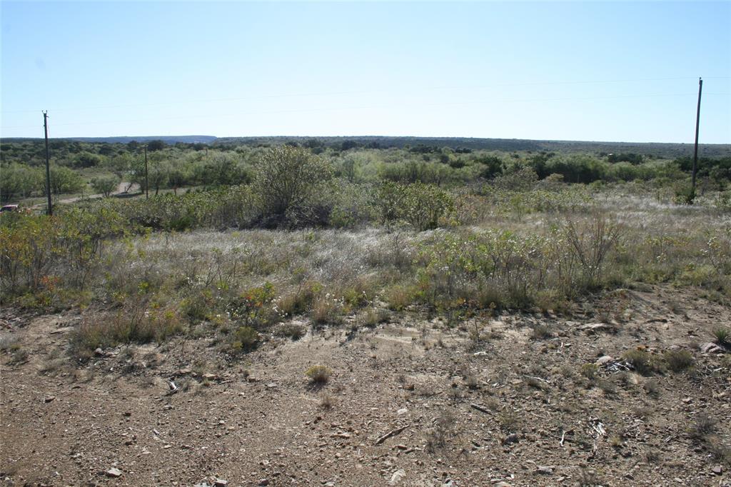 0 Upper Brad Road Strawn, TX 76475 - Photo 18 of 26 a view of a field of grass and trees