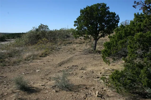 a view of a yard with lots of bushes
