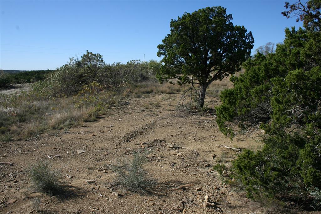 0 Upper Brad Road Strawn, TX 76475 - Photo 19 of 26 a view of a yard with lots of bushes