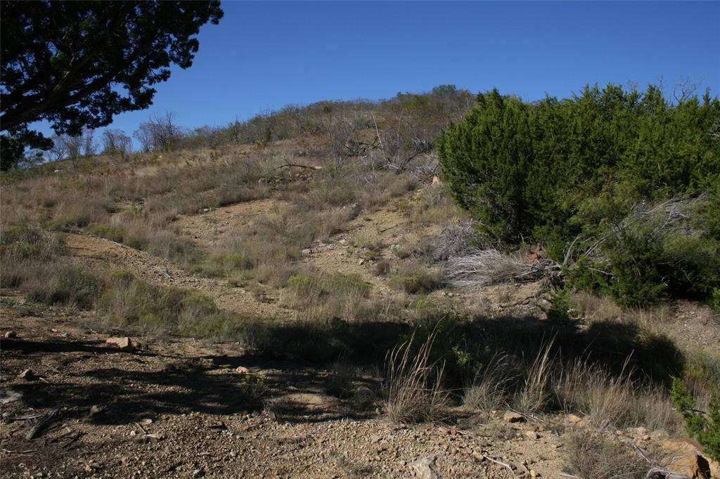0 Upper Brad Road Strawn, TX 76475 - Photo 21 of 26 a view of a yard with a tree