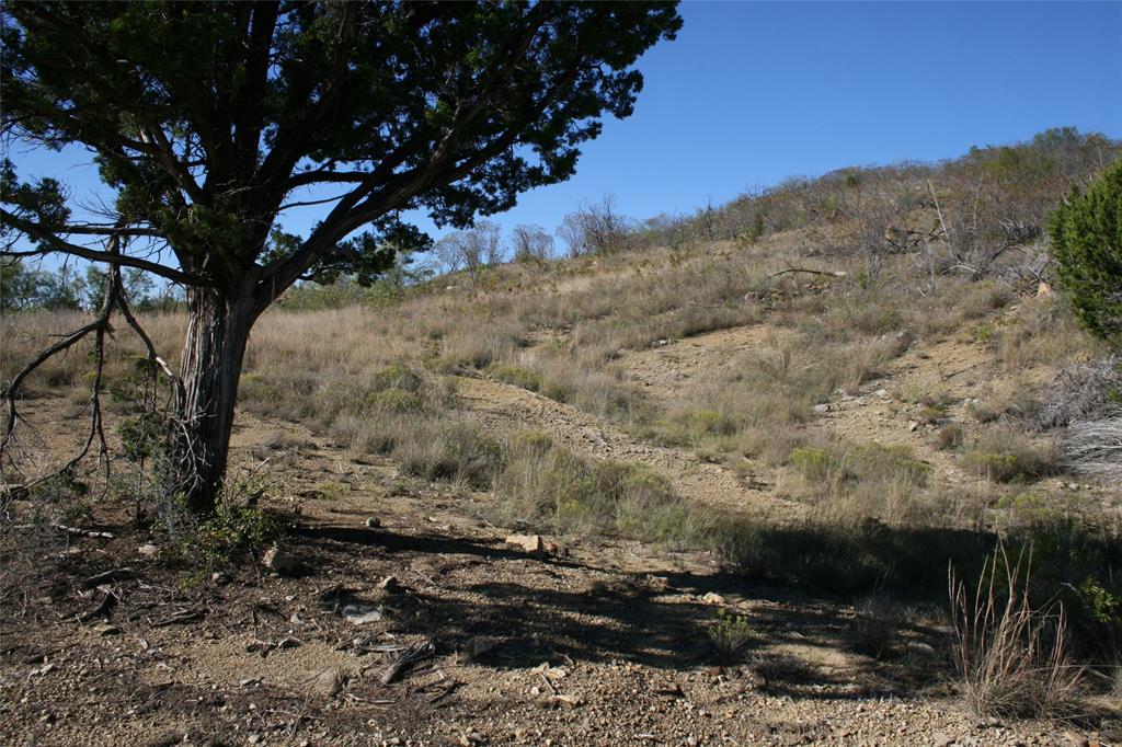 0 Upper Brad Road Strawn, TX 76475 - Photo 22 of 26 a view of a yard with plants and trees