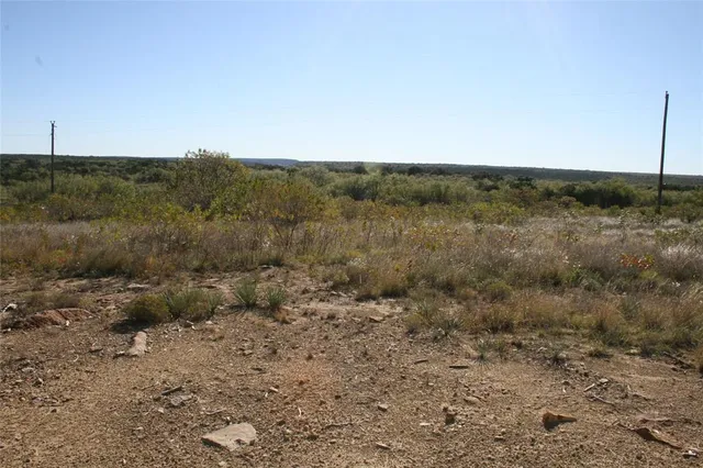 a view of a dry yard with green space