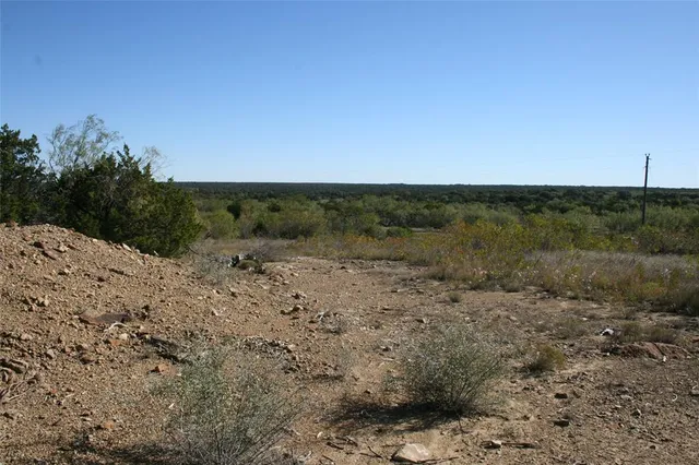 a view of a dry yard with trees and bushes