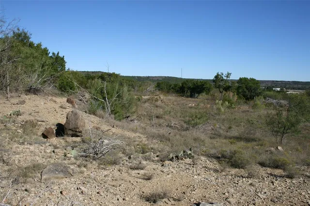 a view of a dry yard with trees in the background