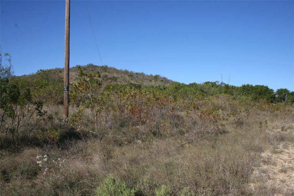 0 Upper Brad Road Strawn, TX 76475 - Photo 3 of 26 a view of a city with lush green forest