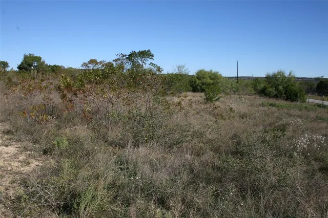 a view of a field of grass and trees