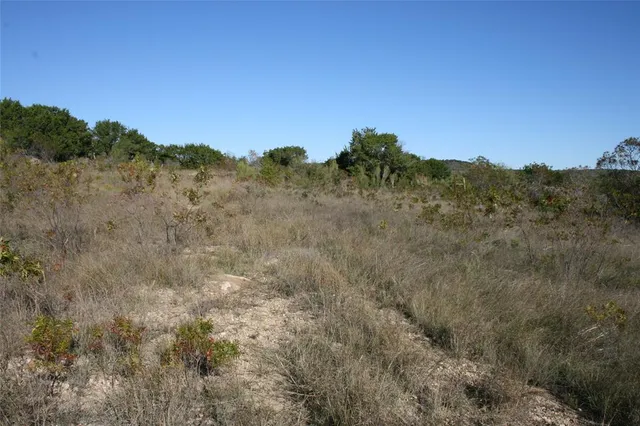 a view of a city with lush green forest