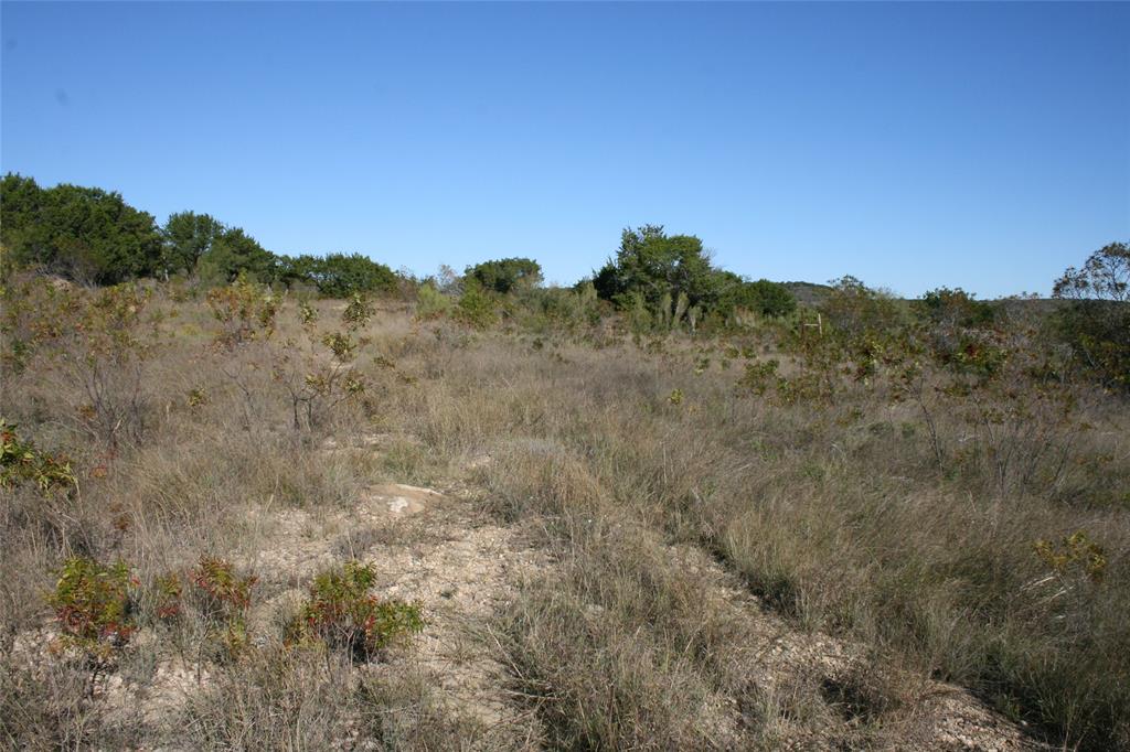 0 Upper Brad Road Strawn, TX 76475 - Photo 5 of 26 a view of a city with lush green forest