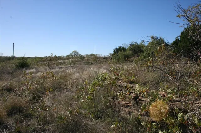 a view of a field of grass and trees