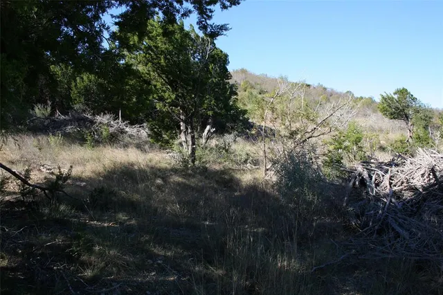 a view of a lot of trees