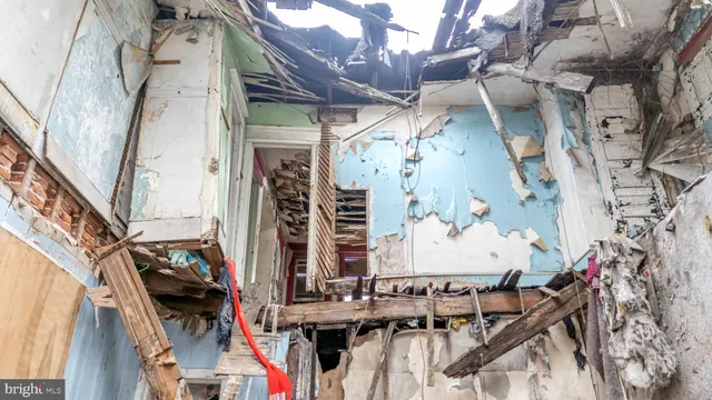 a close view of a potted plant on a wall