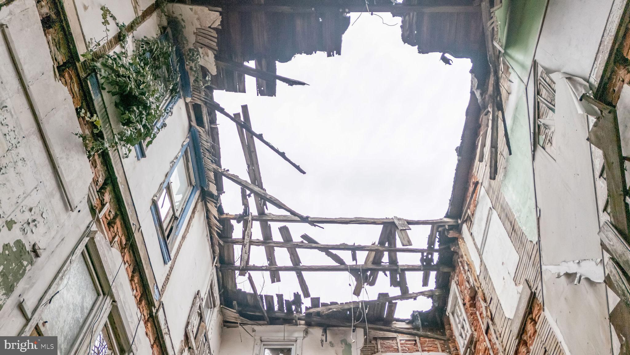 1145 Thurman Street Camden, NJ 08104 - Photo 18 of 18 a close view of a potted plant on a wall
