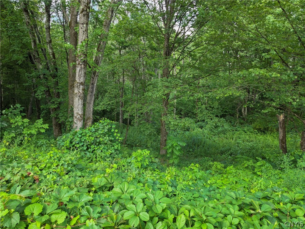 7469 Buck Hill Road Western, NY 13486 - Photo 42 of 48 Gallery Image 42