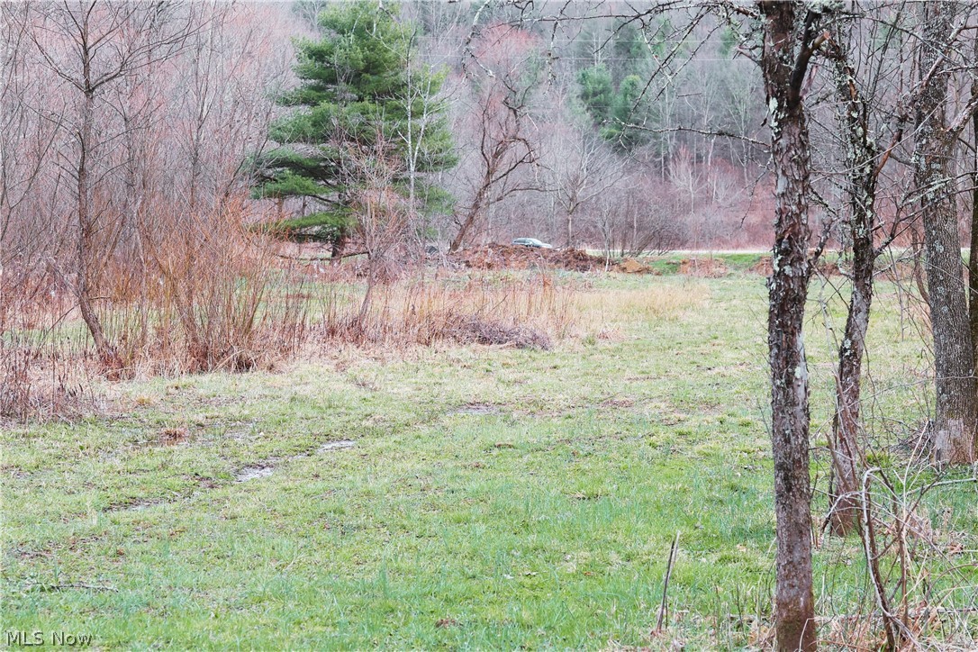 6030 Atkinson Creek Road Southeast Tippecanoe, OH 44699 - Photo 18 of 27