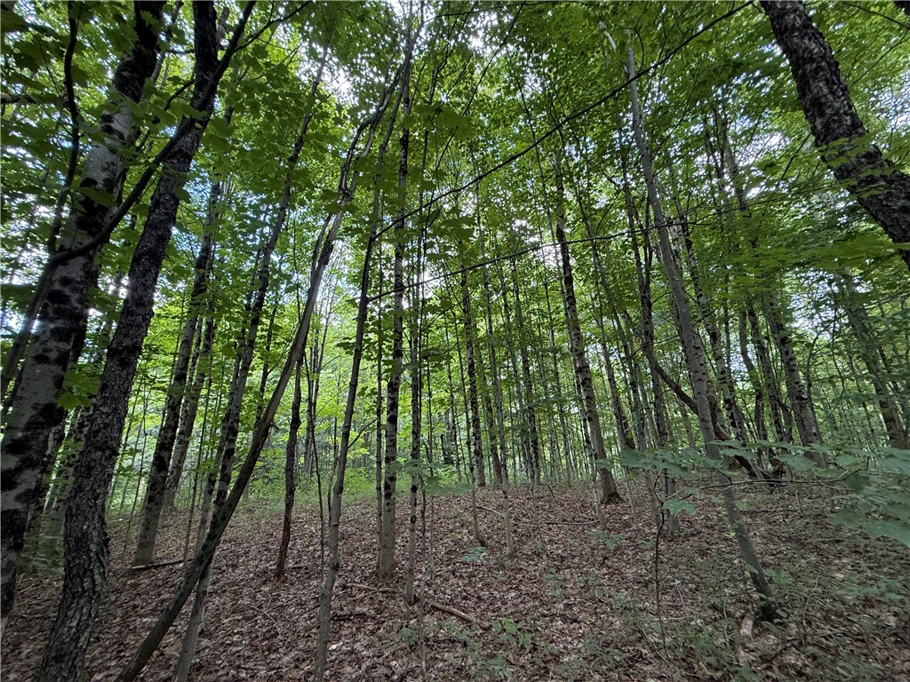 82 O Hara Road Redfield, NY 13437 - Photo 36 of 50 Gallery Image 36