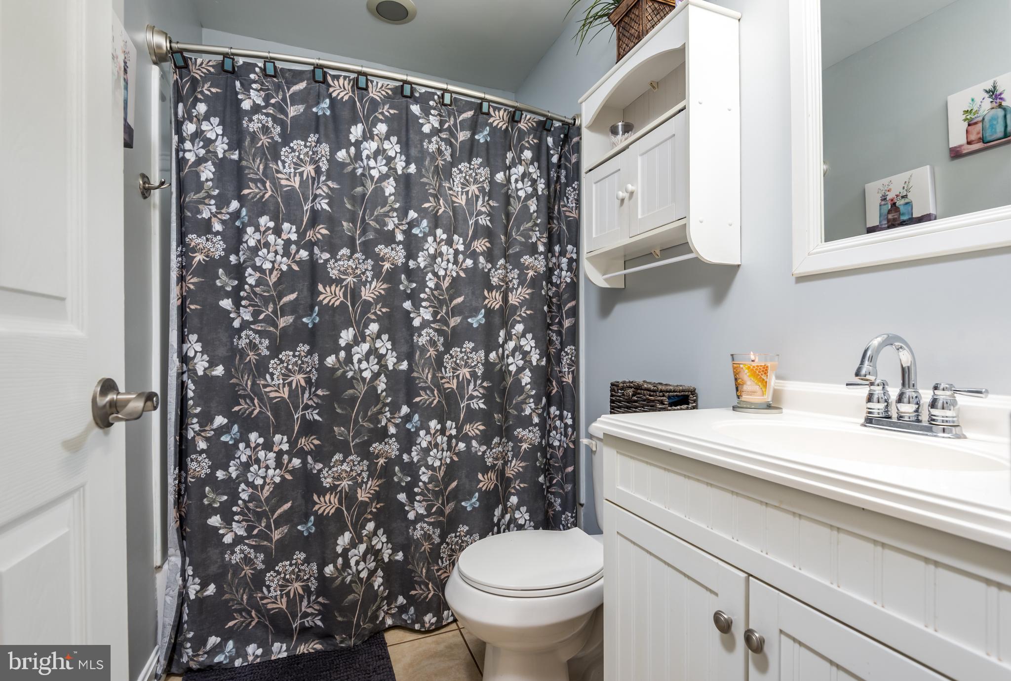 15111 Johnsons Road Culpeper, VA 22701 - Photo 16 of 32 Main level Full Bath