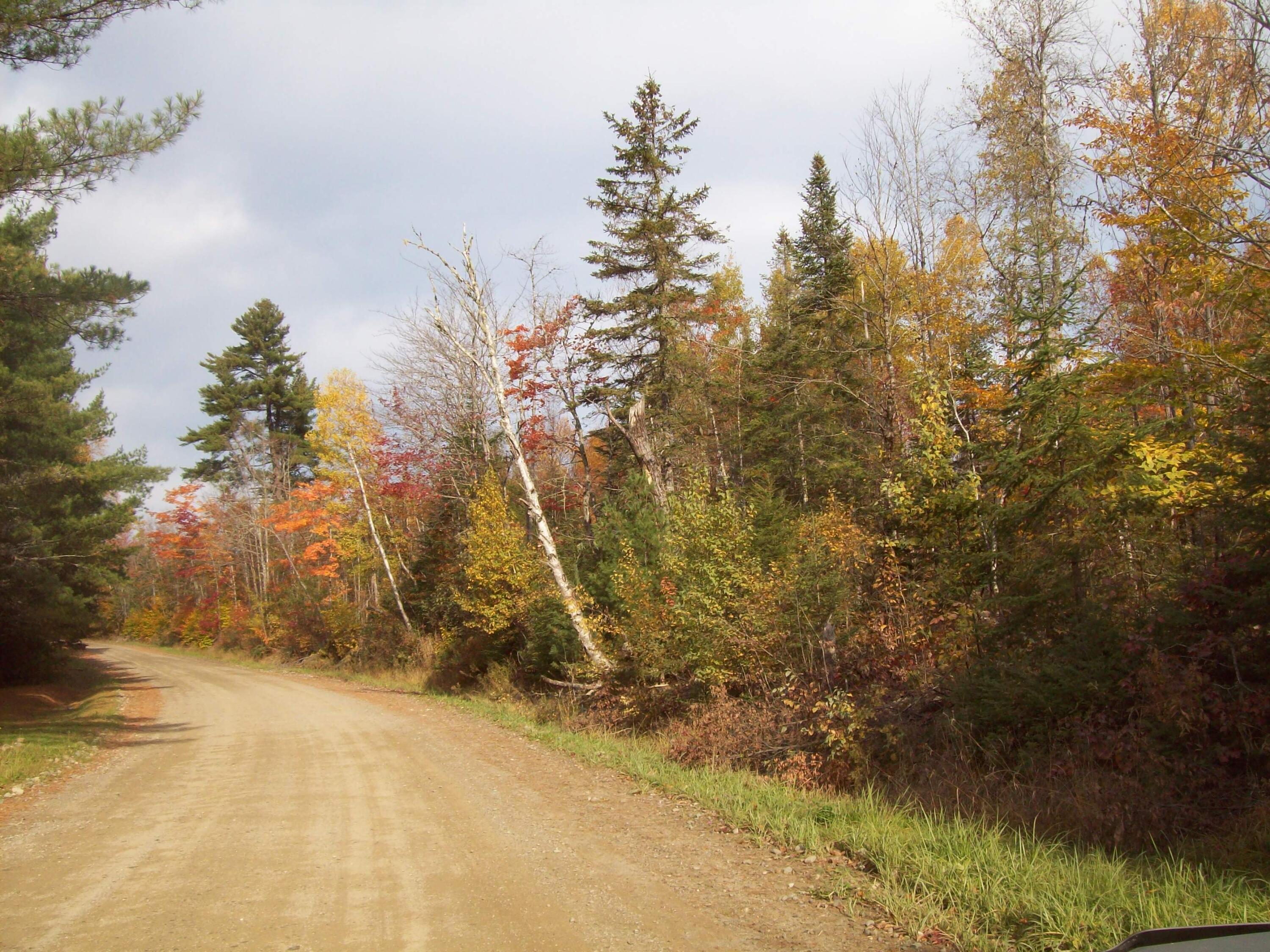 Tbd Tbd Road Carroll Plt, ME 04487 - Photo 3 of 12 100_2372