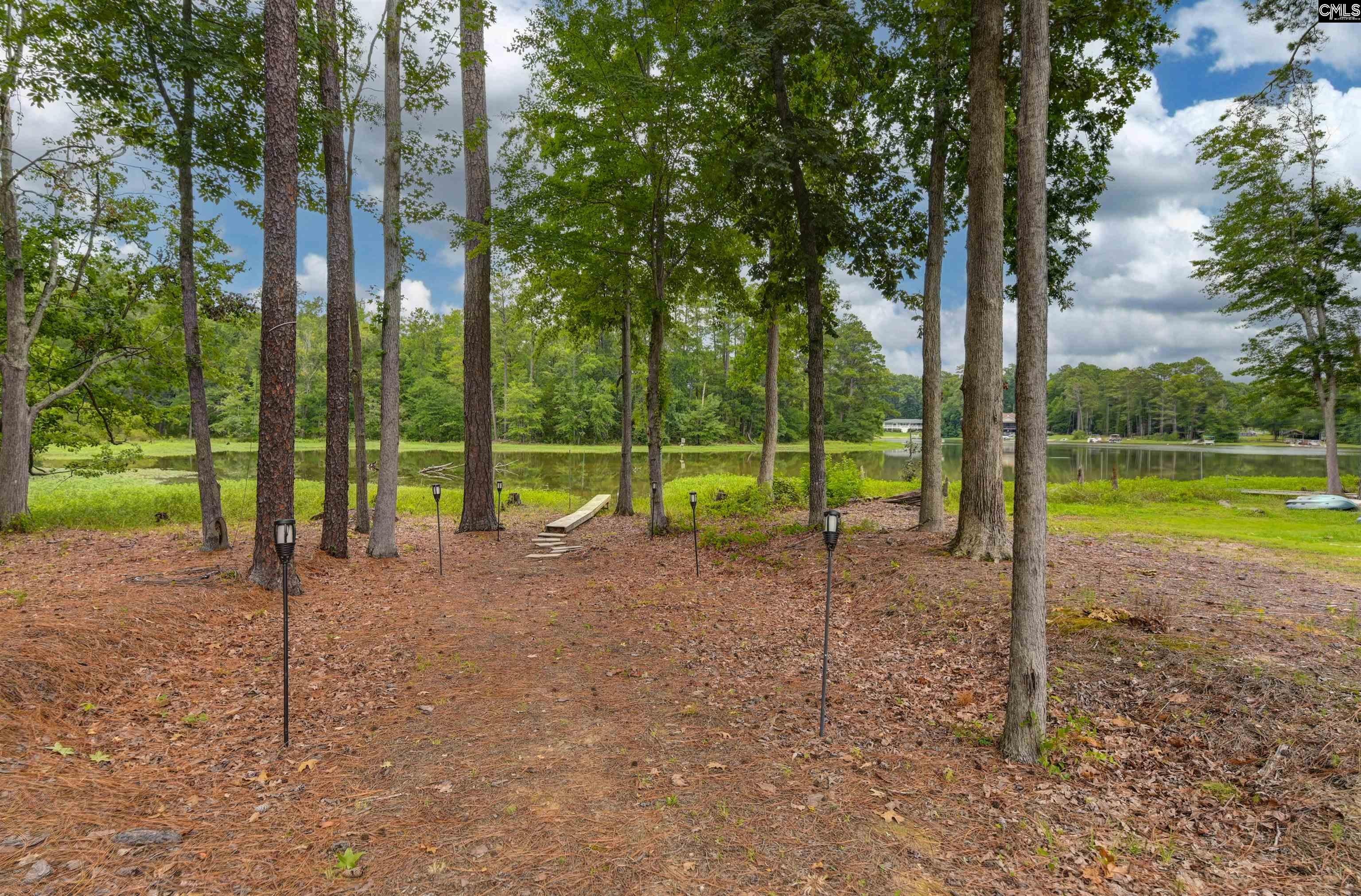 631 Sandbar Road Chapin, SC 29036 - Photo 59 of 65 Gallery Image 59