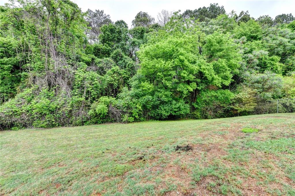 601 Bowling Lane Winder, GA 30680 - Photo 42 of 45 a view of a field with a tree in the background