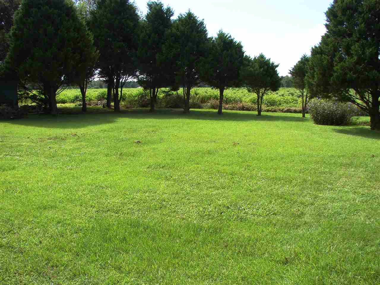 17397 East View Loop Foley, AL 36535 - Photo 31 of 32