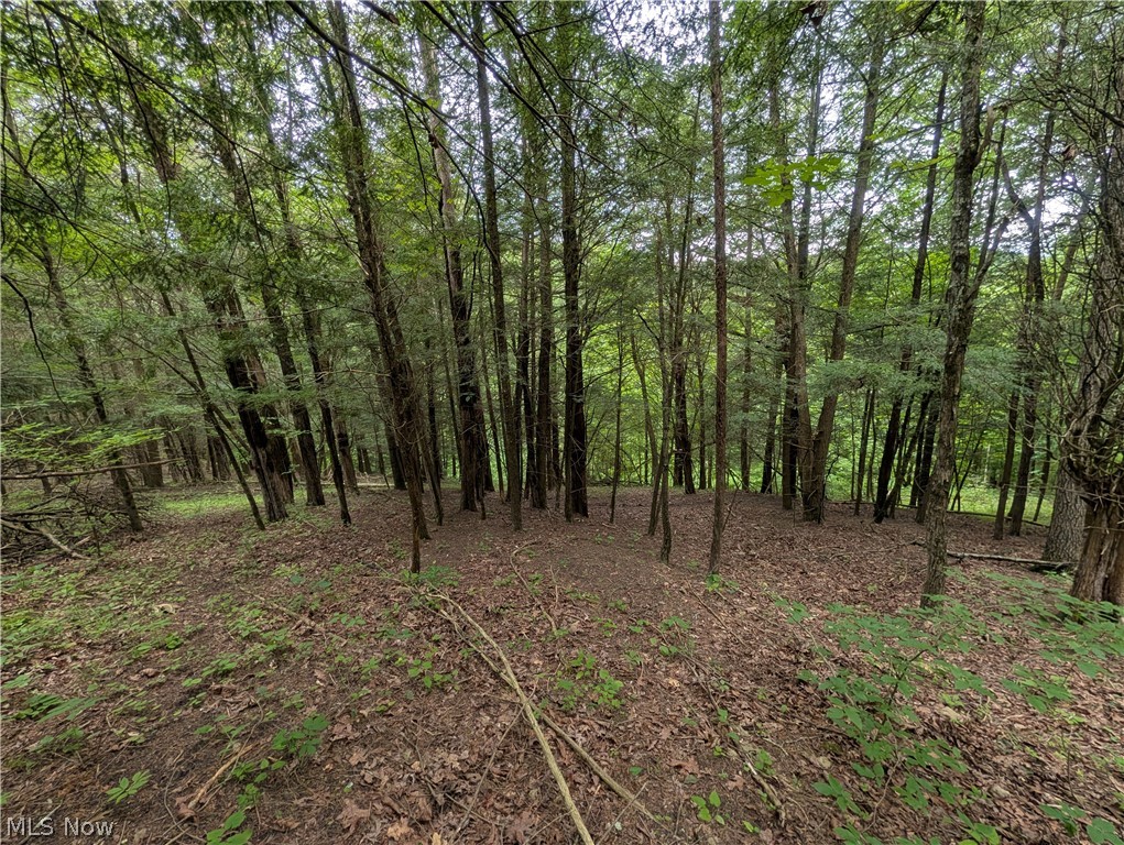 36 County Road Bloomingdale, OH 43910 - Photo 35 of 44 Gallery Image 35
