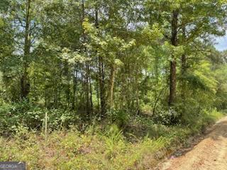 0 Gooch Road, Unit LOT F Eastman, GA 31023 - Photo 1 of 1 Gallery Image 1