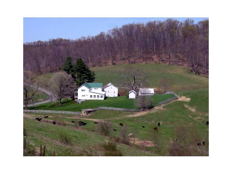 94 Cash Day Road Prosperity, PA 15329 - Photo 2 of 17 Land/Lot.