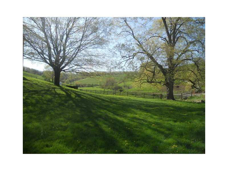 94 Cash Day Road Prosperity, PA 15329 - Photo 14 of 17 Land/Lot.