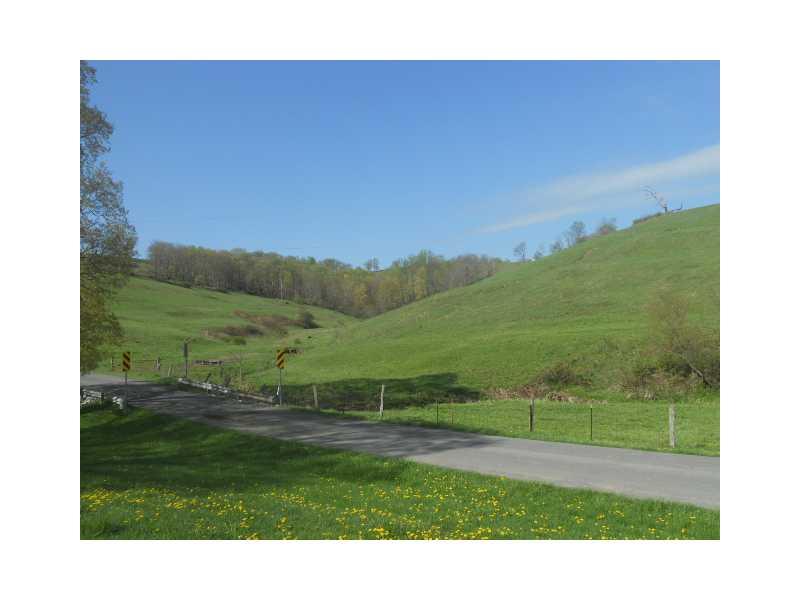 94 Cash Day Road Prosperity, PA 15329 - Photo 16 of 17 Land/Lot.