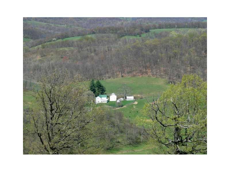 94 Cash Day Road Prosperity, PA 15329 - Photo 3 of 17 Land/Lot.